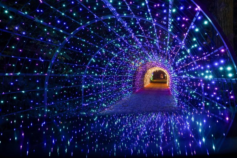 Kivilágított fényinstalláció a Füvészkertben a Garden of Lights fesztiválon