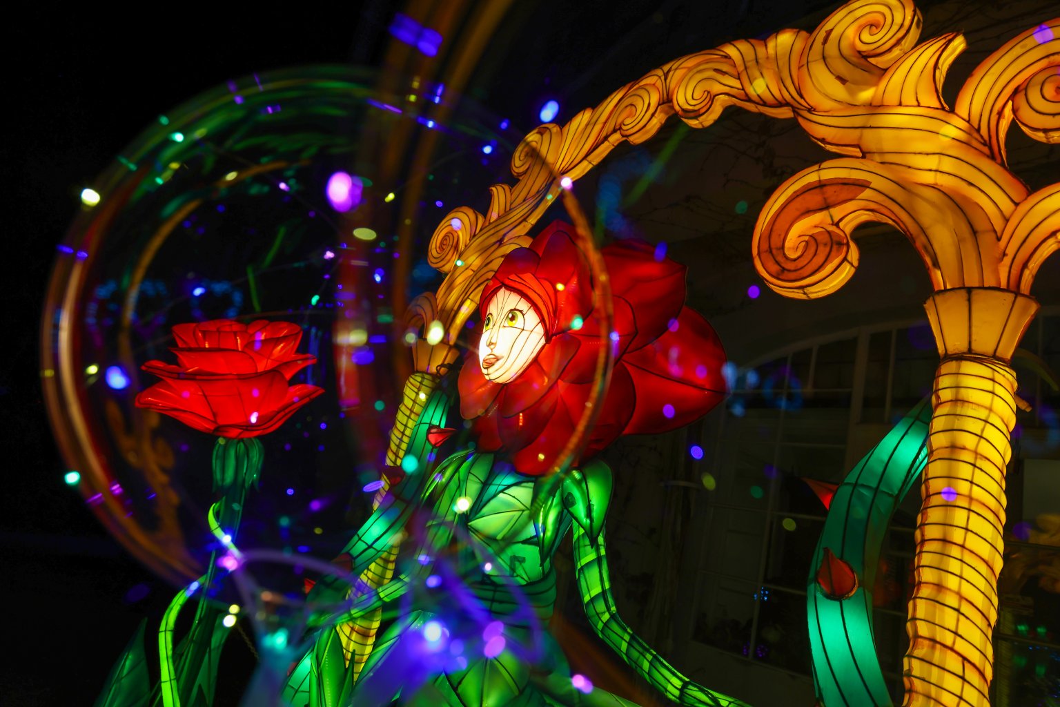 Kivilágított kerti sétány a Garden of Lights fesztiválon
